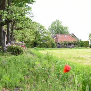 Natuurhuisje Esch