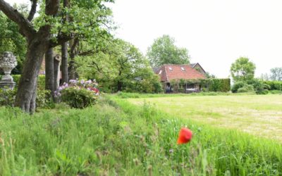 Beschermd: Wat is een natuurhuisje?