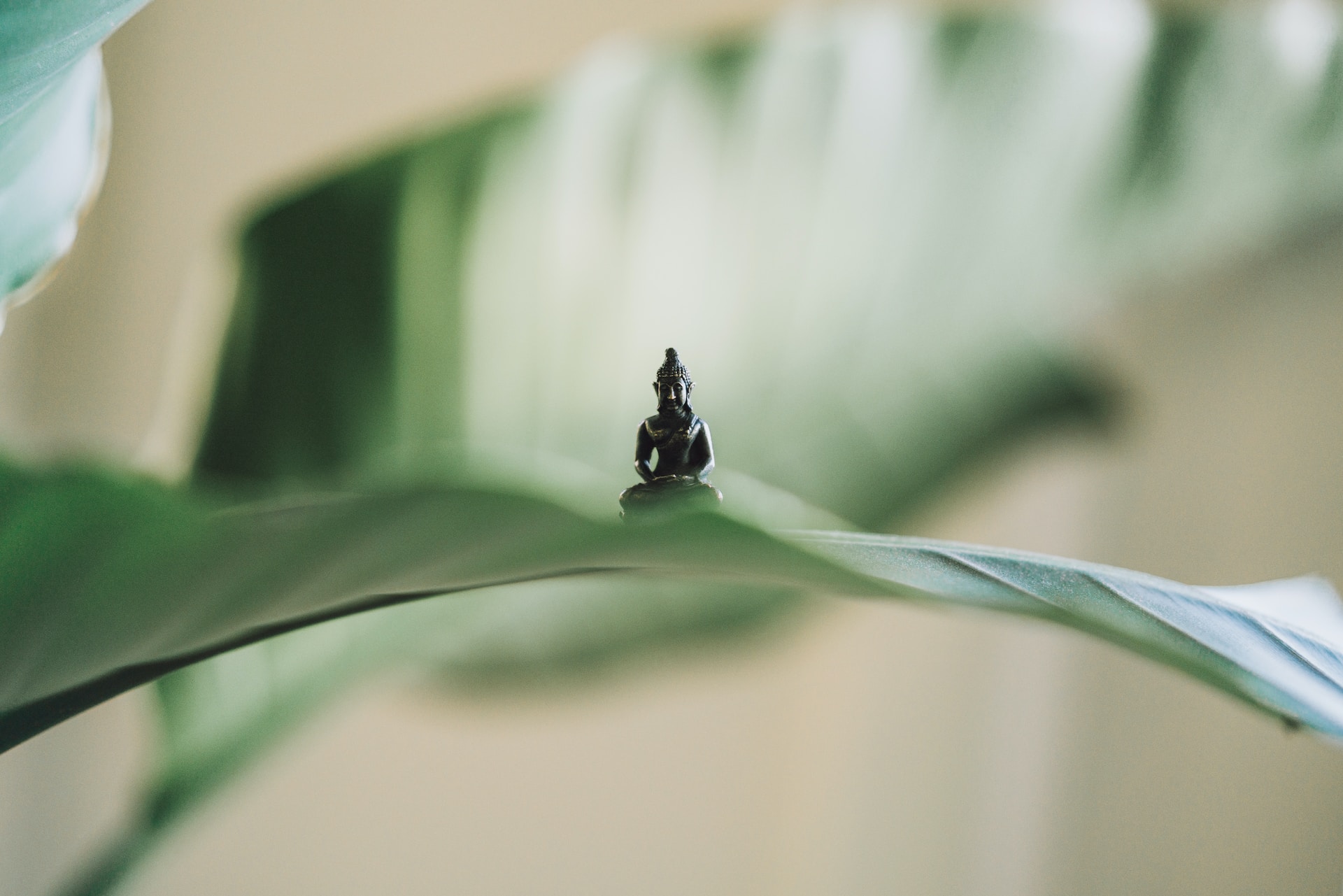 yoga ruimte huren met verblijf