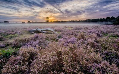 Beschermd: Natuurgebieden Brabant